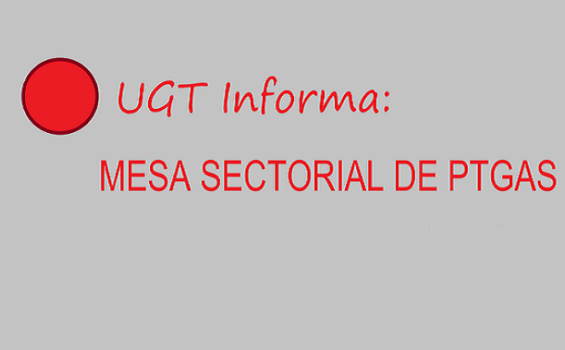 Resumen Mesa PTGAS 15/01/2025