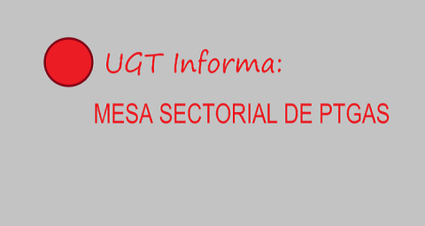 Solicitudes y Preguntas UGT en Mesa PTGAS